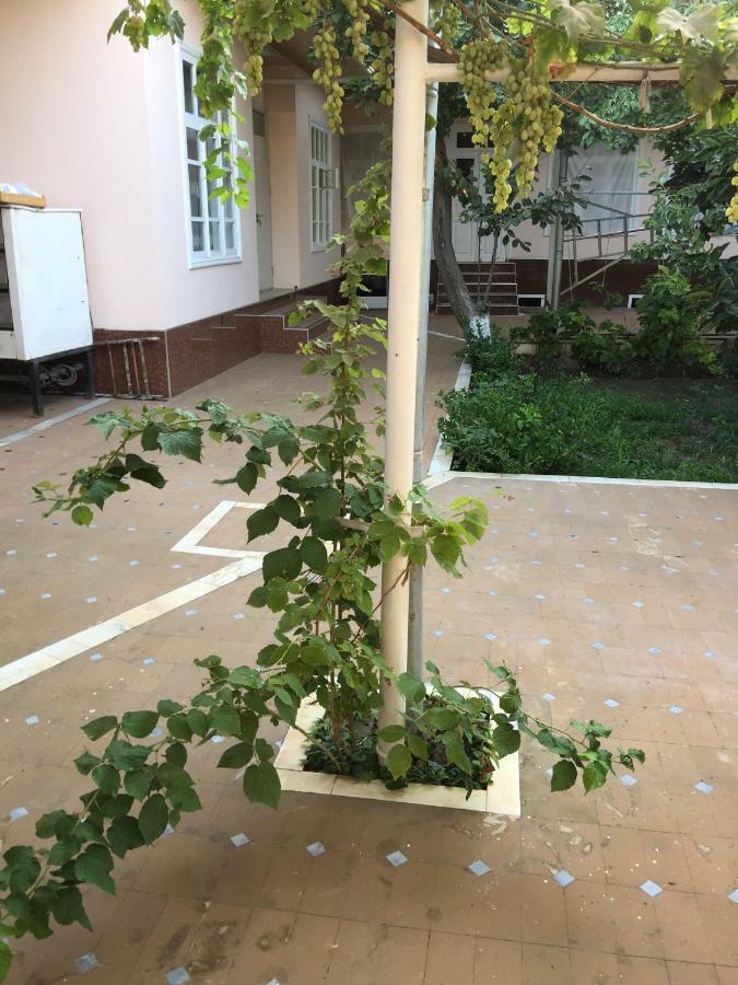 Munis Hotel Samarkand Bagian luar foto